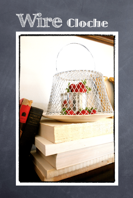 Chicken Wire~like Cloche