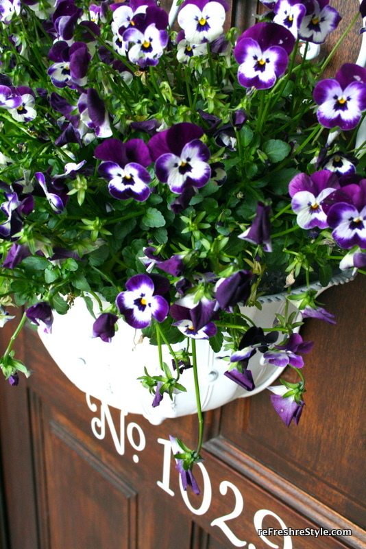 Beautiful pansies in a metal container
