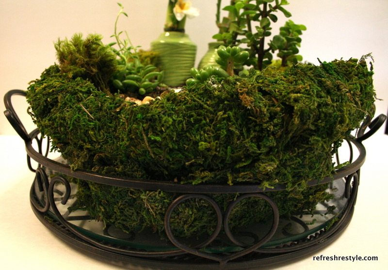 Use moss to surround a mini garden in a metal tray.