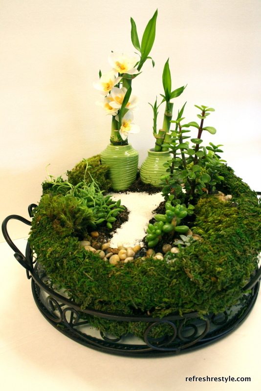 Create a mini garden, all the directions included!