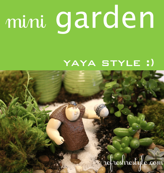 Mini garden with enchanting ideas!