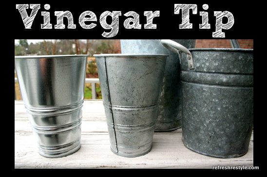 Tips {Vinegar}