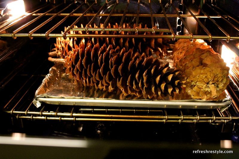 Bake pine cones before crafting with them