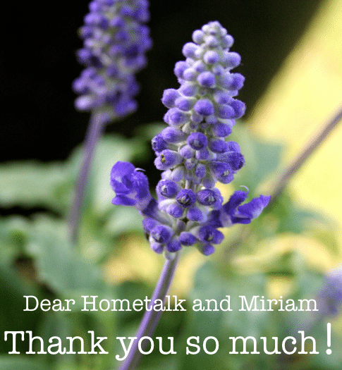 Hometalk bloglight