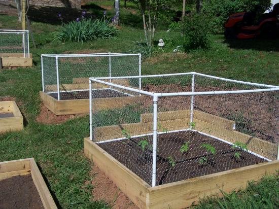 Raised Garden fence