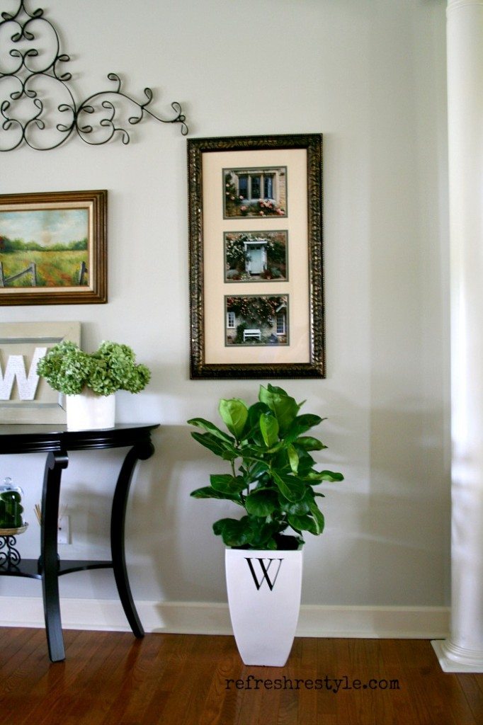 Fiddle leaf fig tree - beautiful plant