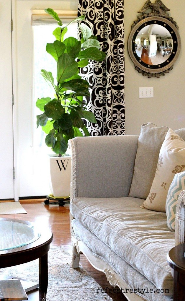 Awesome Fiddle leaf fig tree