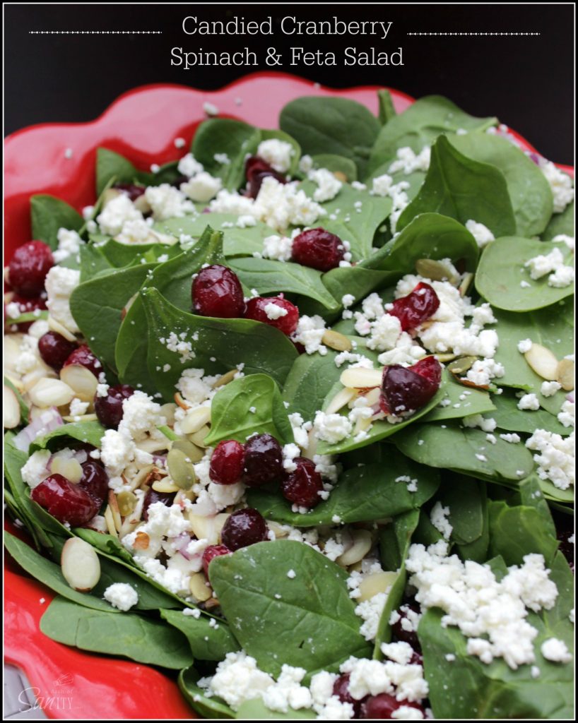 10 - A Dash of Sanity - Candied Cranberry Spinach Salad