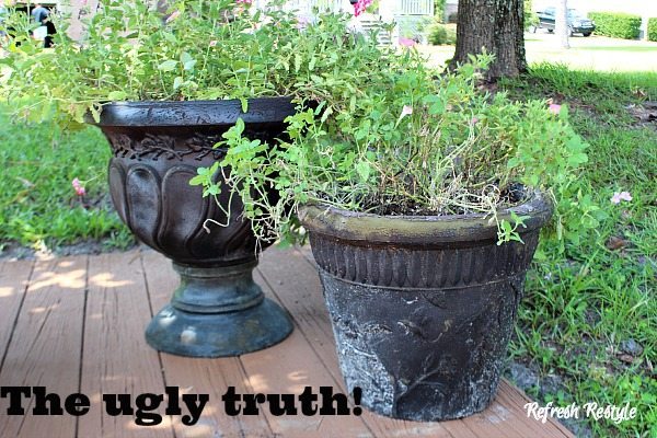 <img src="https://media.refreshrestyle.com/2014/08/Pots-Before.jpg" alt="Before - Maison Blanche Outdoor Paint #maisonblanchepaint  #paintedfurniture and #ad" loading="lazy" />