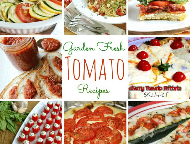 Garden Fresh Tomato Recipes and Inspiration Monday