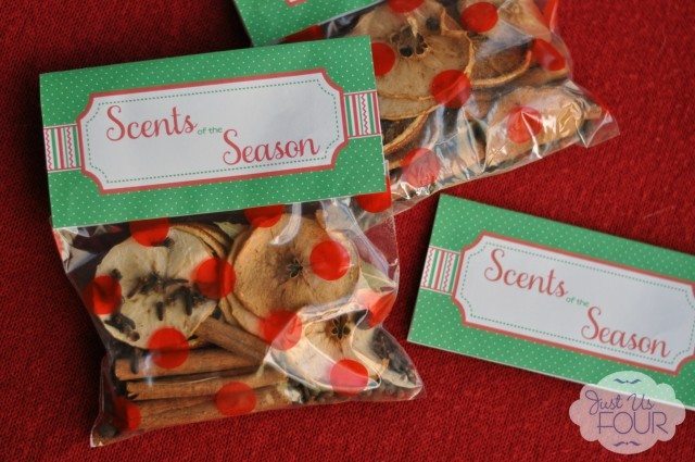 Just Us Four - Dried Fruit Potpourri