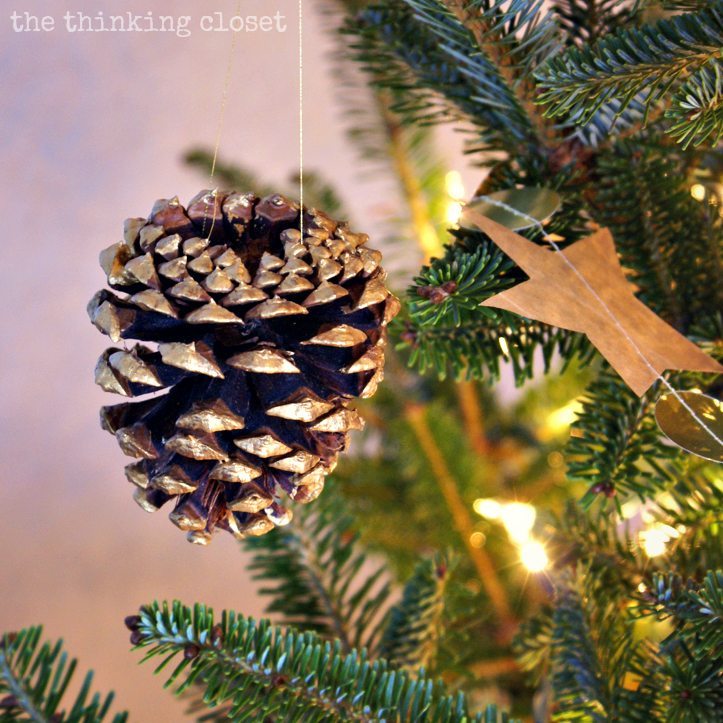Thinking Closet - Gold Brushed Pinecone