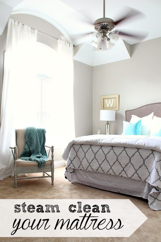 Spring Clean your mattress using a steamer.