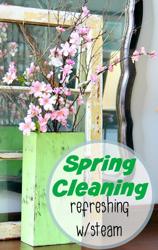 All Natural Spring Cleaning