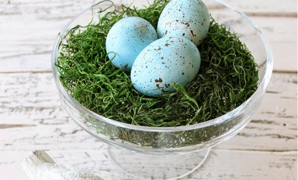 Inspiration Monday Early Spring Fever