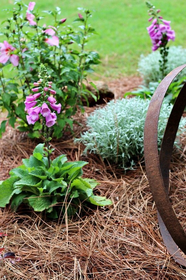 Yard and Garden DIY Ideas