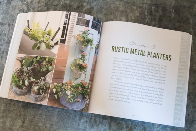 Rustic-Metal-Planters_edited-1