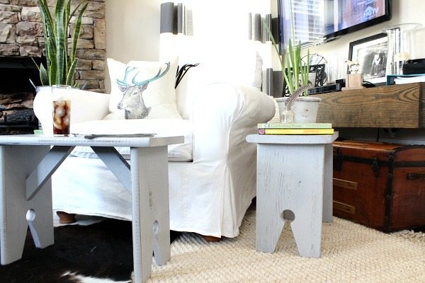 Spray Paint with Wagner Home Decor Sprayer