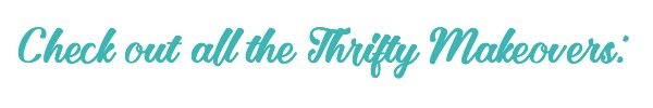 Thrifty Makeovers