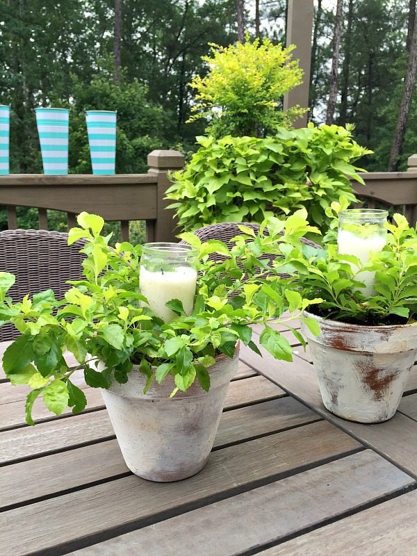 Aged Clay Pots + Candles + Plants