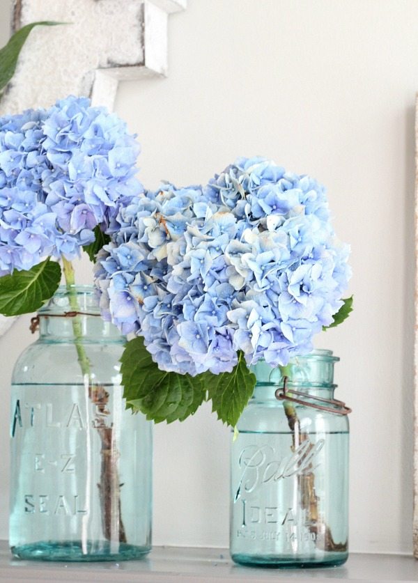 You can find Mason Jars at just about any antique store and they are so affordable - you'll want to grab every one that you see