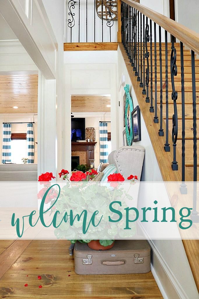 Welcome-spring-with-potted-geraniums-at-Refresh-Restyle-