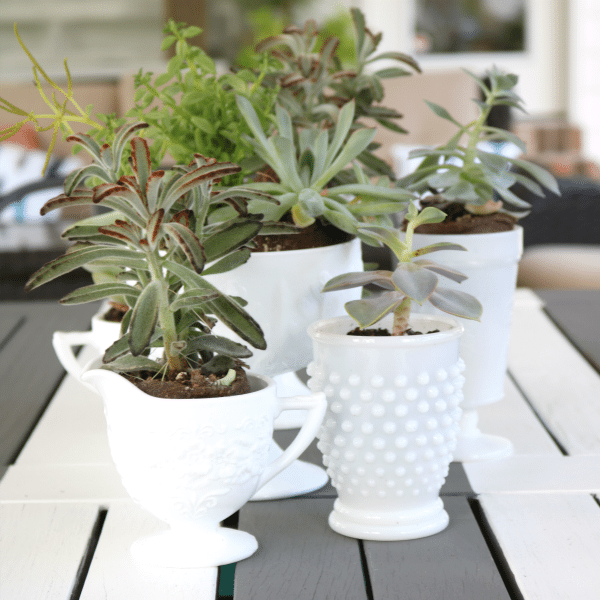 Vintage Milk Glass Succulents