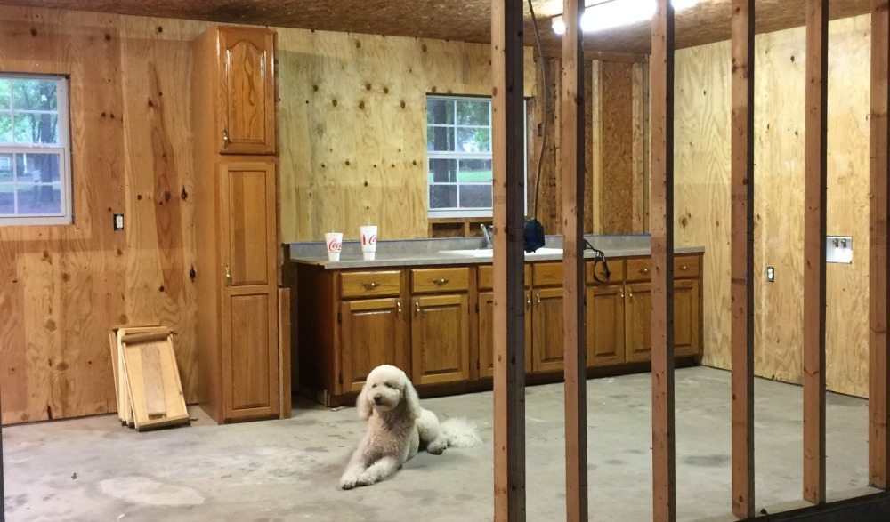 Cabinets before