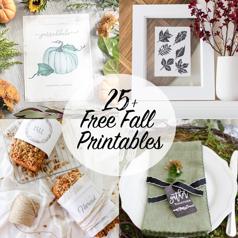 25 Free Fall Printables