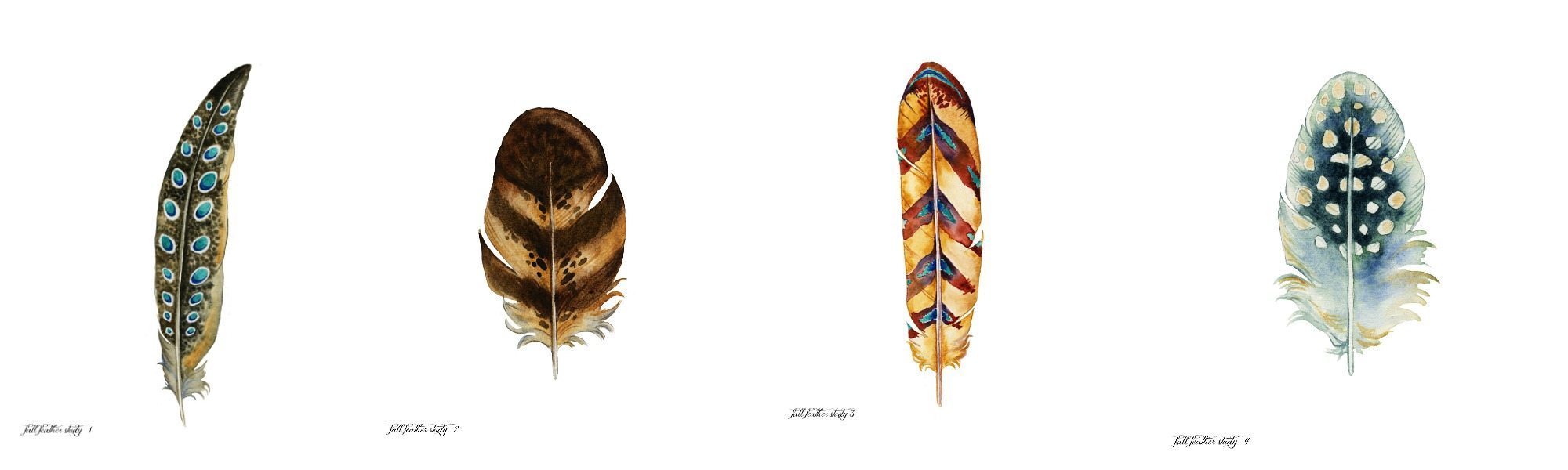 Pretty fall feathers