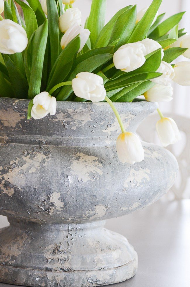 How-To-Care-for-Cut-Tulips