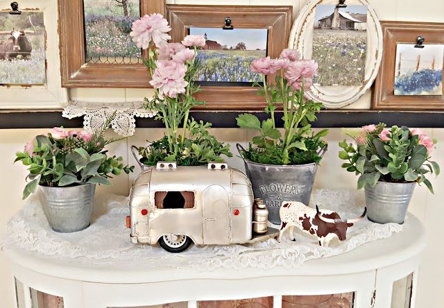 Spring-Texas-Bluebonnets