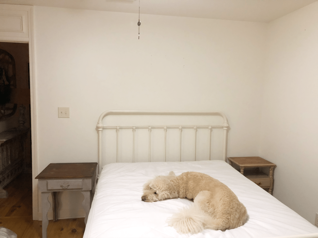 Guest room before