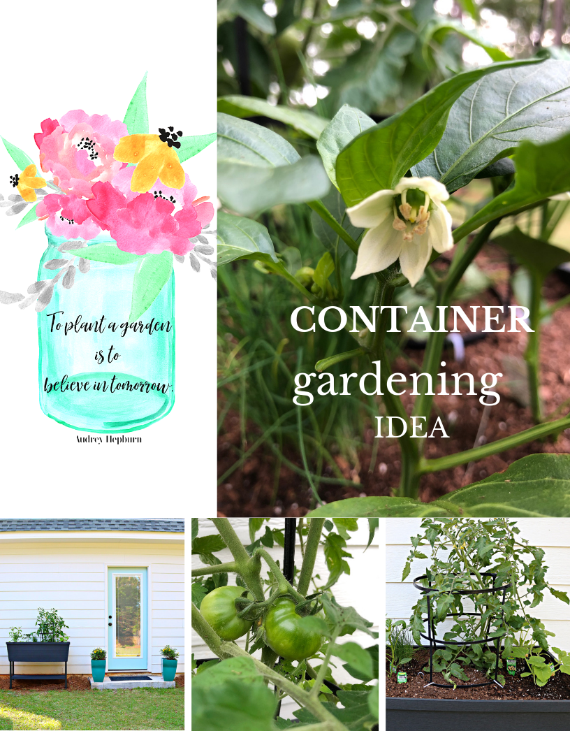 Container Gardening