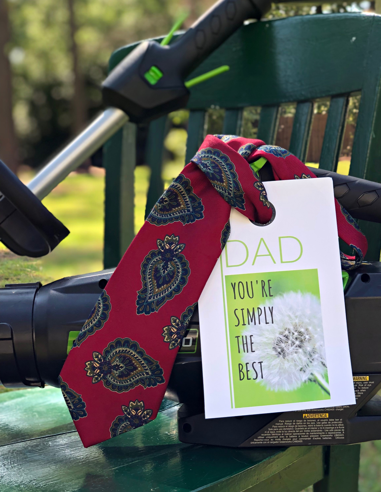 Father's Day Gift Tag + Giveaway