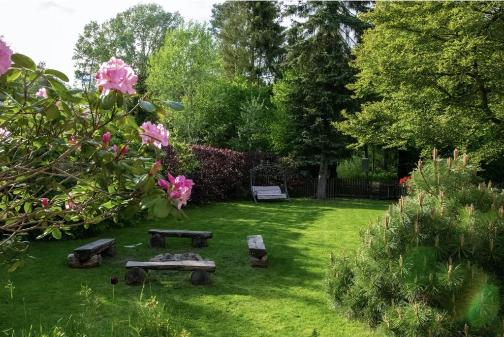 How Much Do Spring Clean Ups Cost