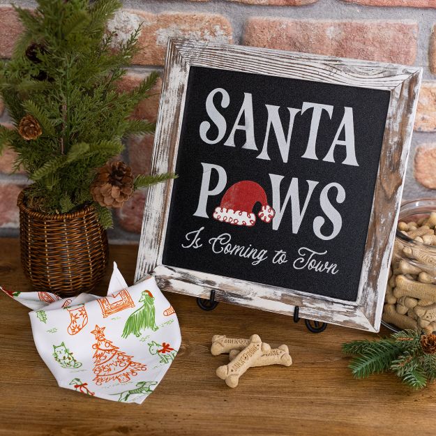 Festive Animals Heat Transfer