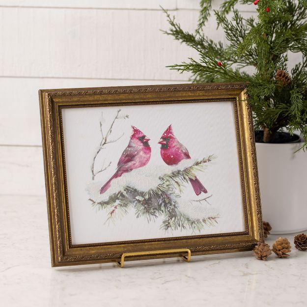 Winter Cardinal Heat Transfer